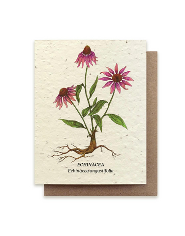 Bower Studio - Echinacea Plantable Herb Seed Card