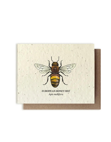 Bower Studio - Honey Bee Plantable Herb Seed Card