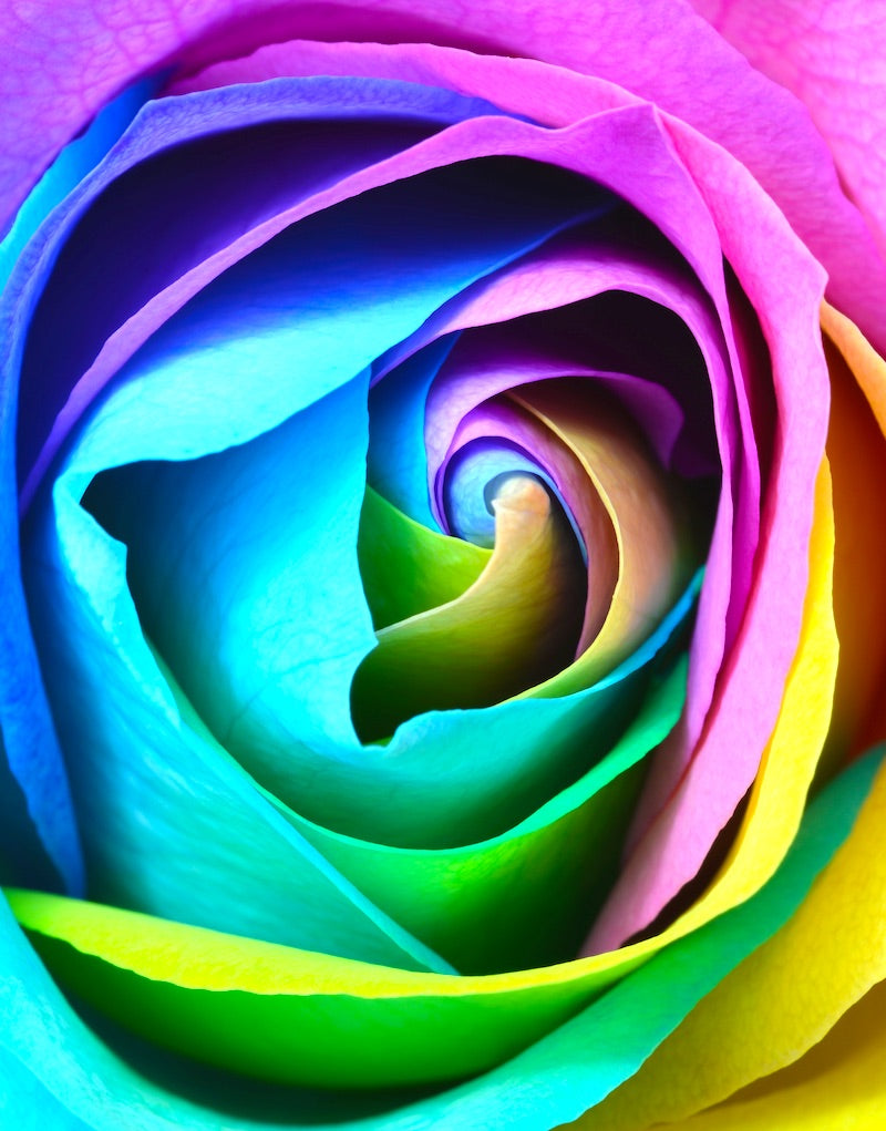 Spring Cleaning for the Whole You!