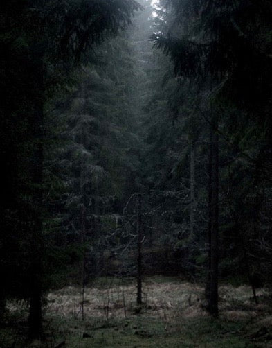 The Wiccan Series: The Dark Night of the Wise Crone Draws us