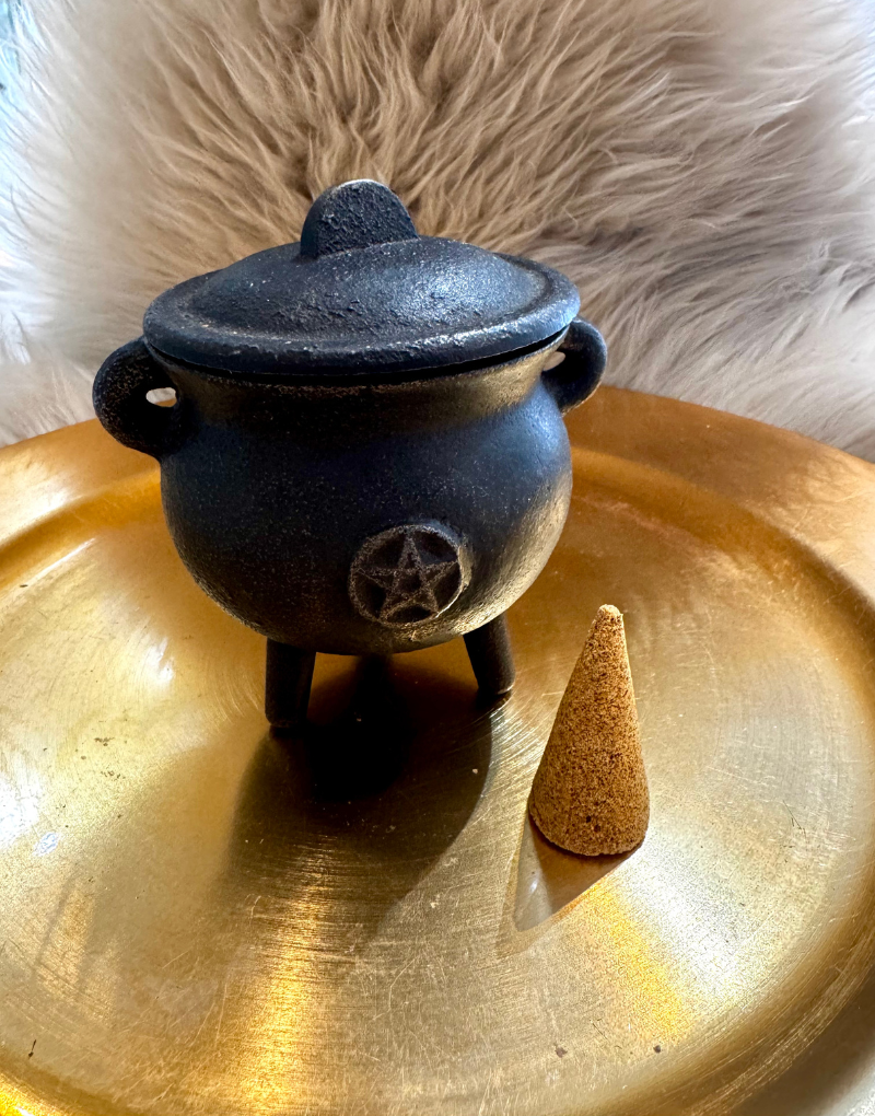 Palo Santo Incense Cone - Single