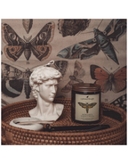 MORIARTY | BERGAMOT & WHITE TEA | JAR CANDLE