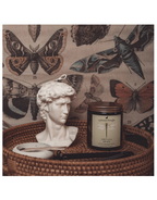 Nirvana Candle - Palo Santo