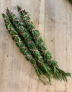 Deep Release Cedar Stick  8 INCHES