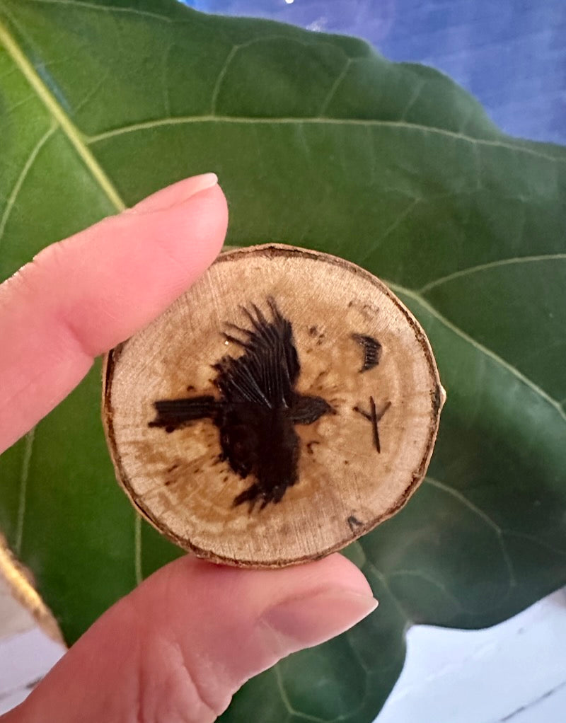 Crow Birch Magnets