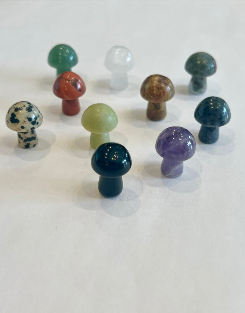 Assorted Small  Mushroom