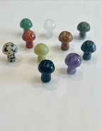 Assorted Small  Mushroom