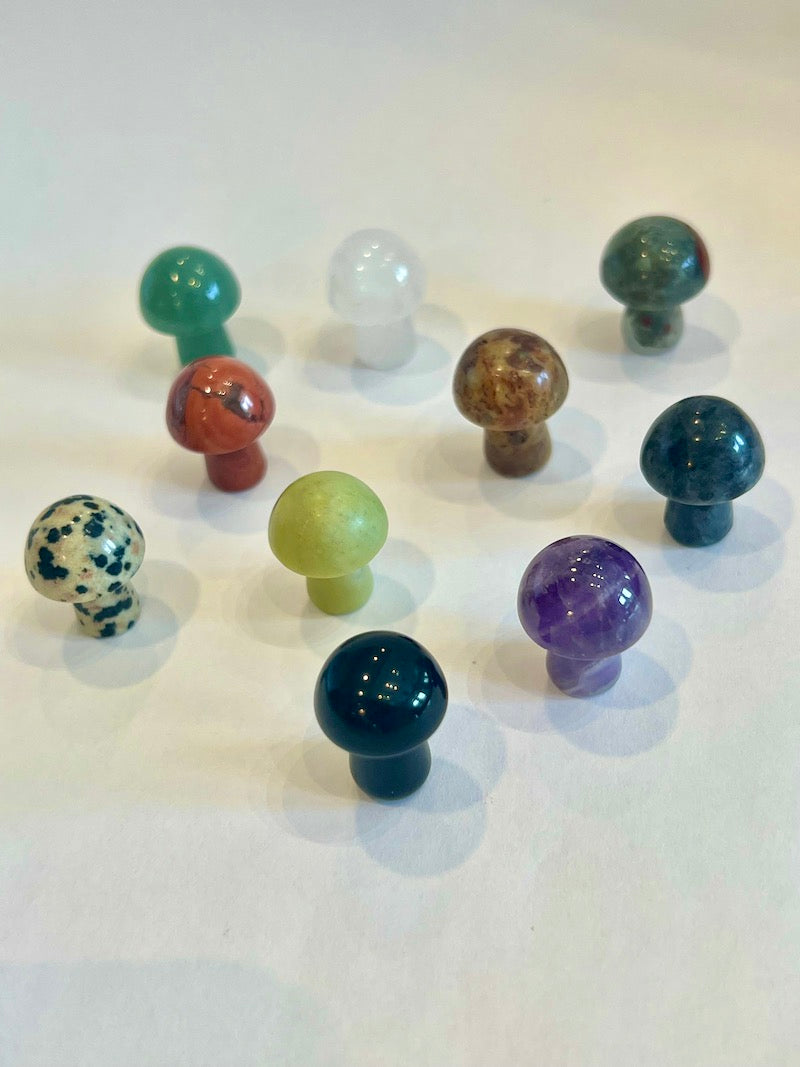 Assorted Small  Mushroom