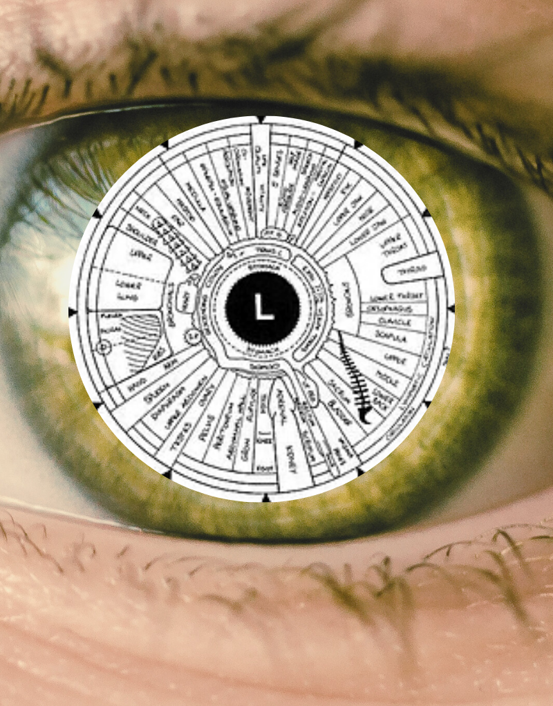Close-up of a green eye with an intricate black and white diagram superimposed on the iris.
