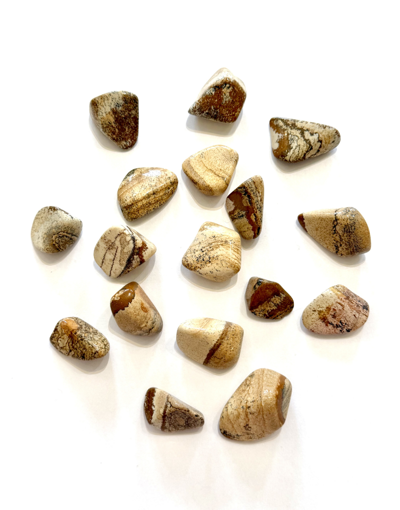Picture Jasper - M