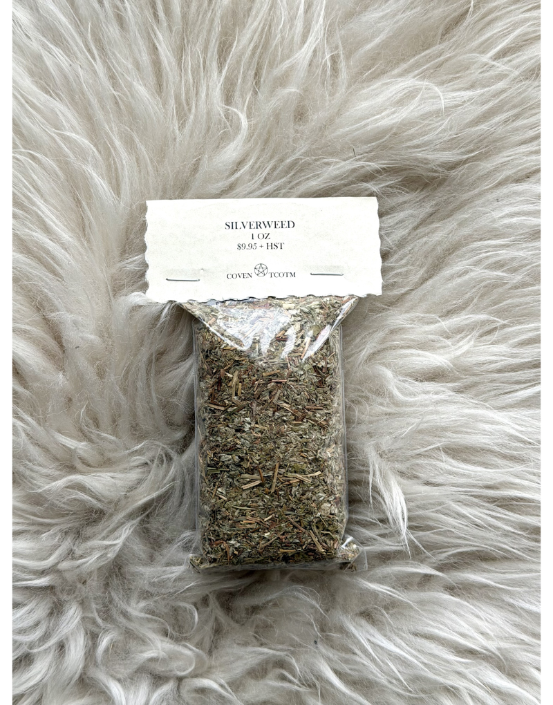 Silverweed 1 oz
