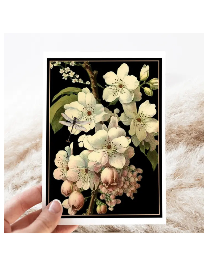 Cherry Blossoms Card