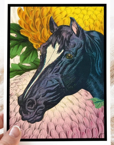 Vintage Horse Card