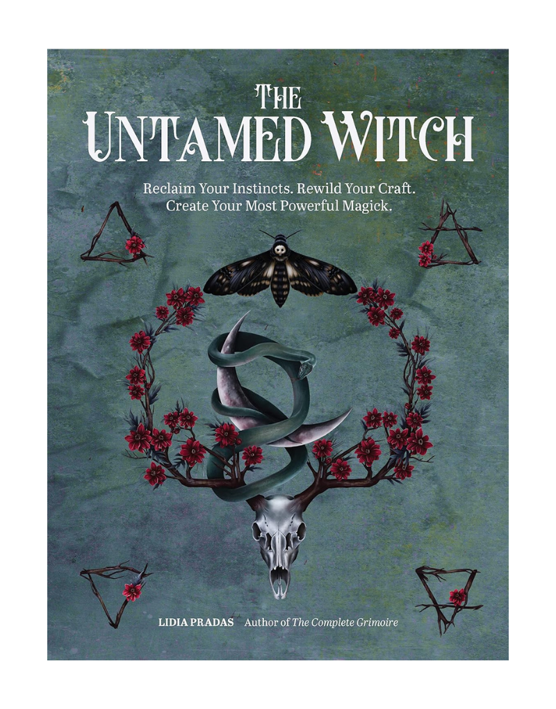 The Untamed Witch