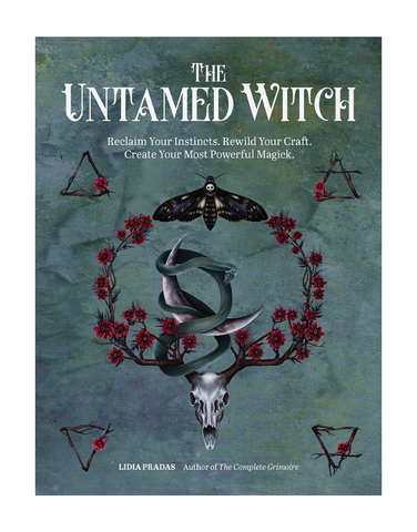 The Untamed Witch
