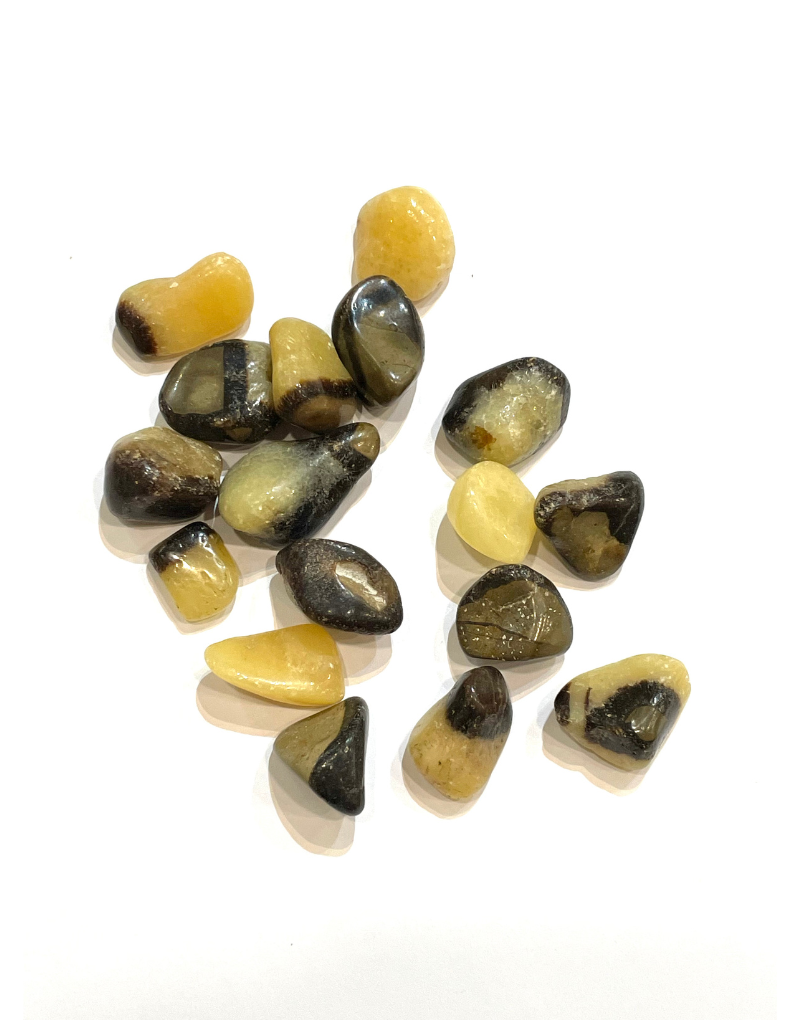 Septarian