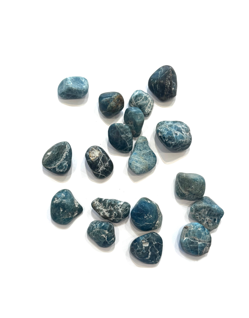 Apatite - Blue (M)