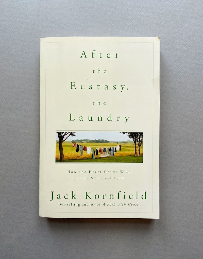 AFTER THE ECSTASY, THE LAUNDRY