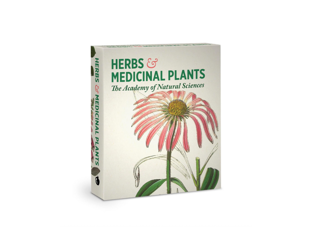 HERBS AND MEDICINAL PLANTS KNOWLEDGE CARDS