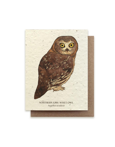 Bower Studio - Northern Owl Plantable Card