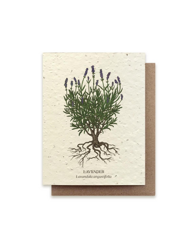 Bower Studio - Lavender Plantable Wildflower Seed Card