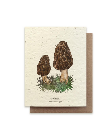 Bower Studio - Morel Mushroom Plantable Wildflower Seed Card