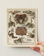 Bower Studio - Witch's Herb Code Print - 8x10"