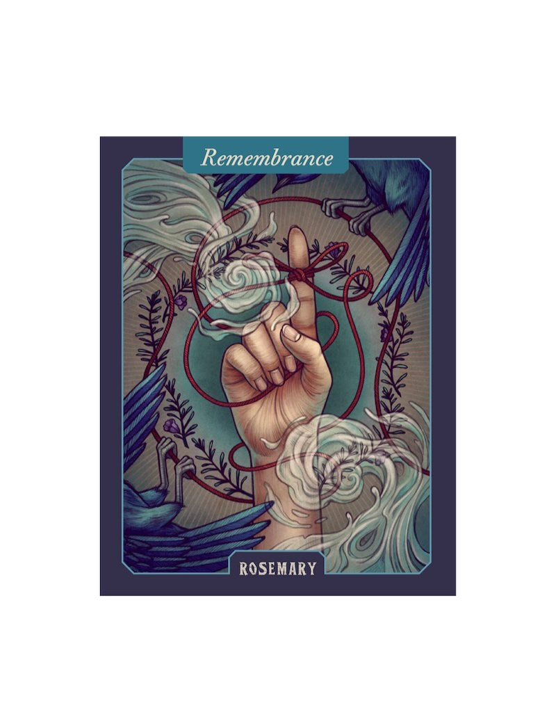 THE ILLUSTRATED HERBIARY ORACLE CARDS