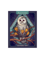 THE ILLUSTRATED HERBIARY ORACLE CARDS