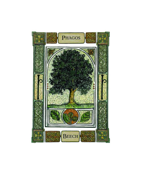 CELTIC TREE ORACLE: A SYSTEM OF DIVINATION