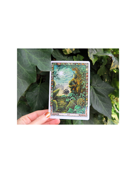 DRUID PLANT ORACLE