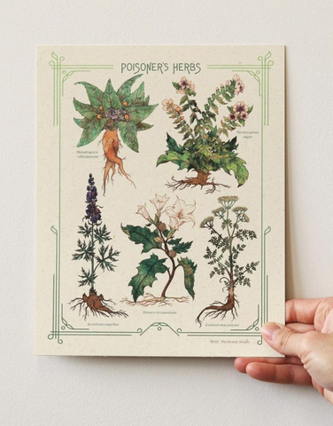 Bower Studio - Poisoner's Herb Print 8x10"