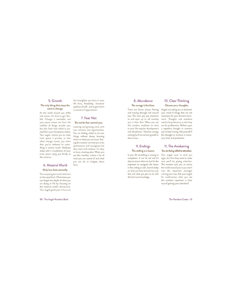 THE ANGEL NUMBERS BOOK