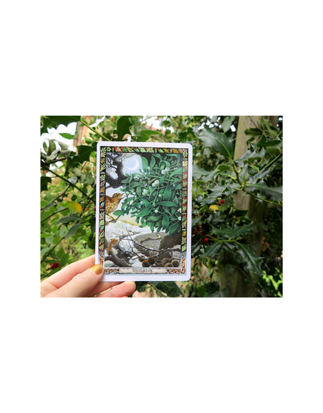 DRUID PLANT ORACLE