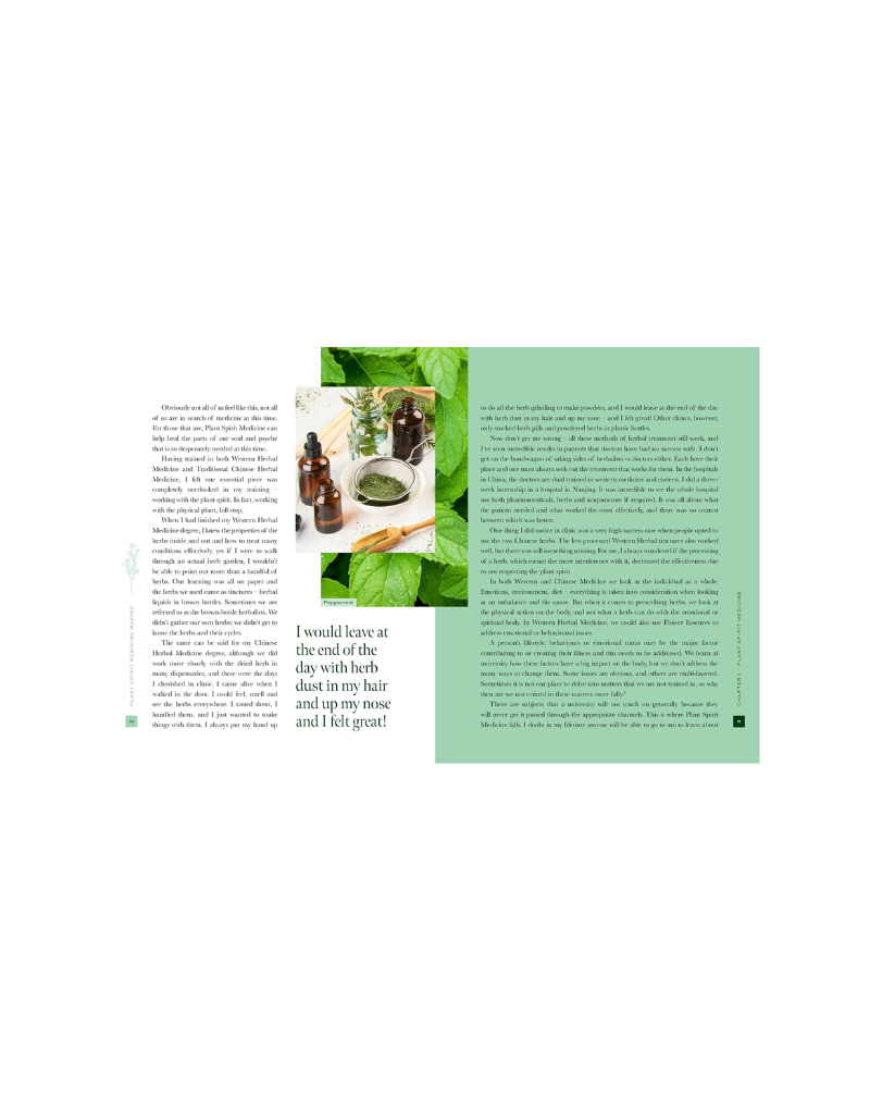 PLANT SPIRIT MEDICINE