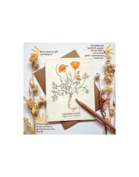 Bower Studio - Northern Saw-Whet Owl Plantable Wildflower Seed Card