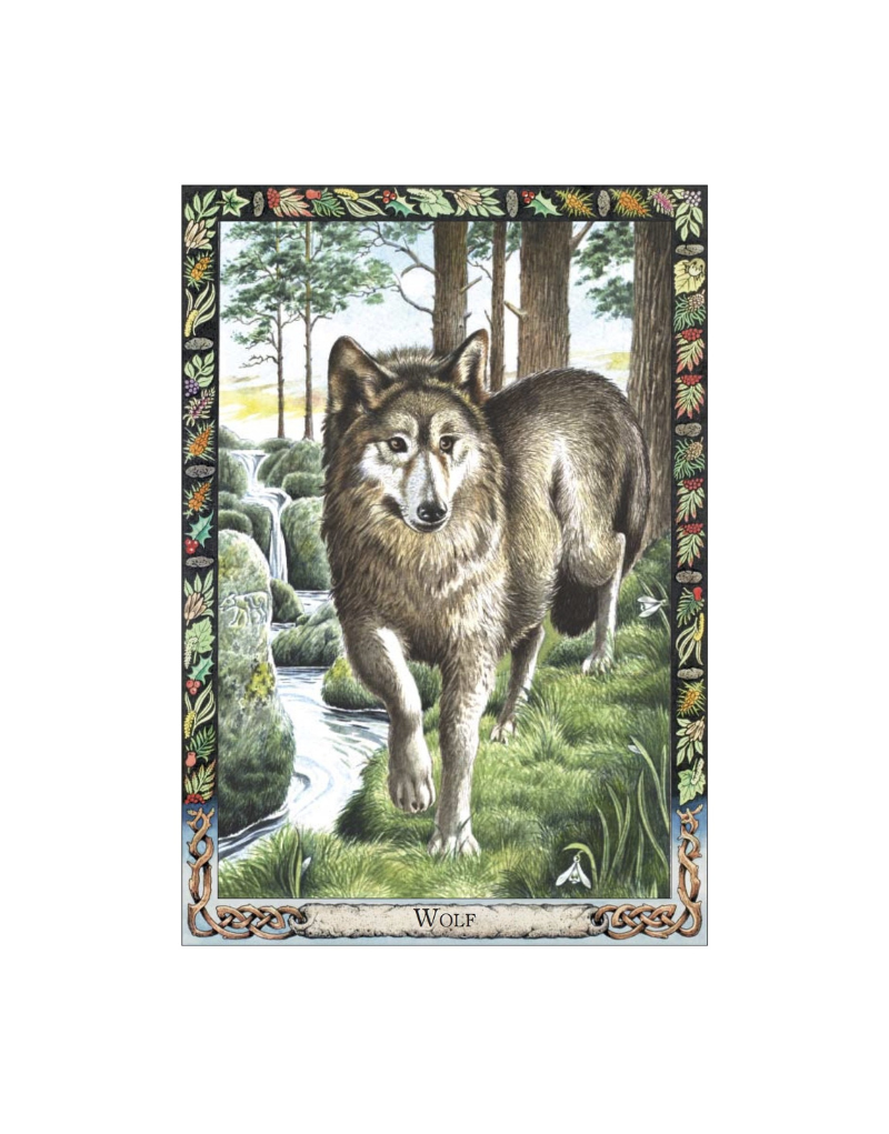 DRUID ANIMAL ORACLE DECK