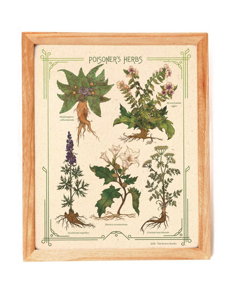 Bower Studio - Poisoner's Herb Print 8x10"