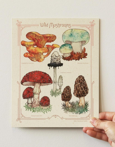 Bower Studio - Wild Mushrooms Print 8x10"