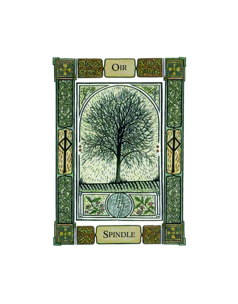 CELTIC TREE ORACLE: A SYSTEM OF DIVINATION