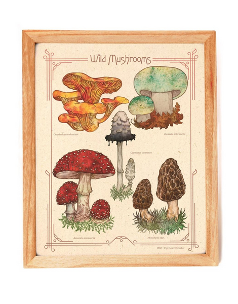 Bower Studio - Wild Mushrooms Print 8x10"