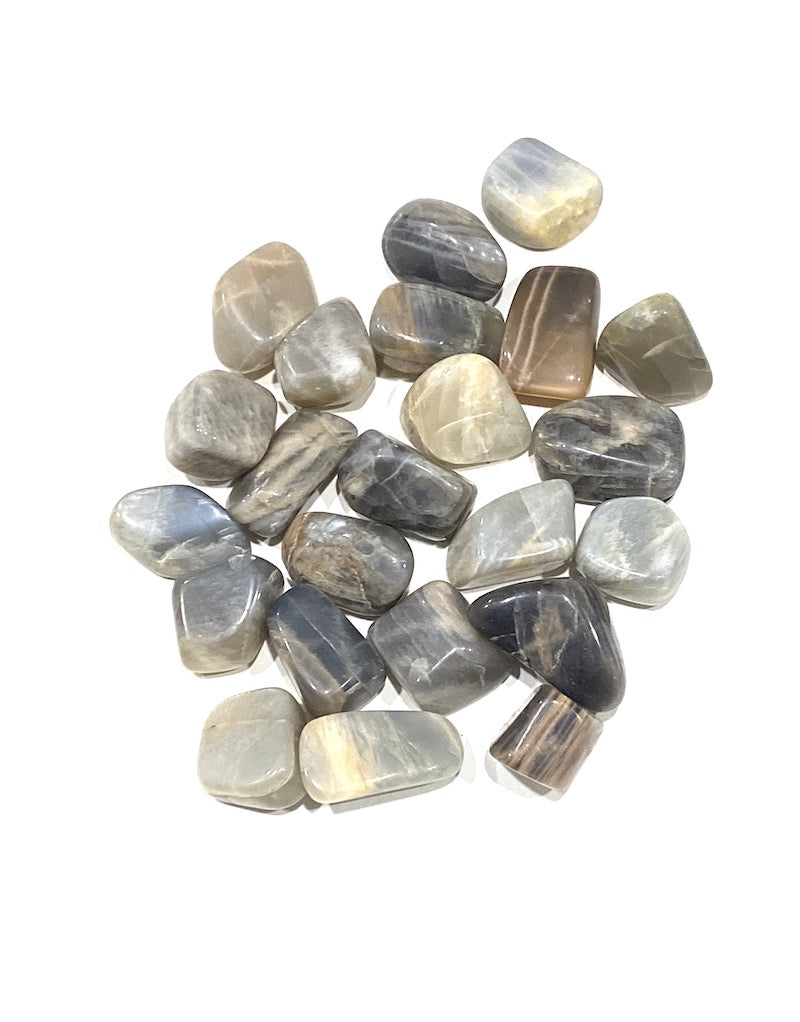 Moonstone - Grey / Black (M)