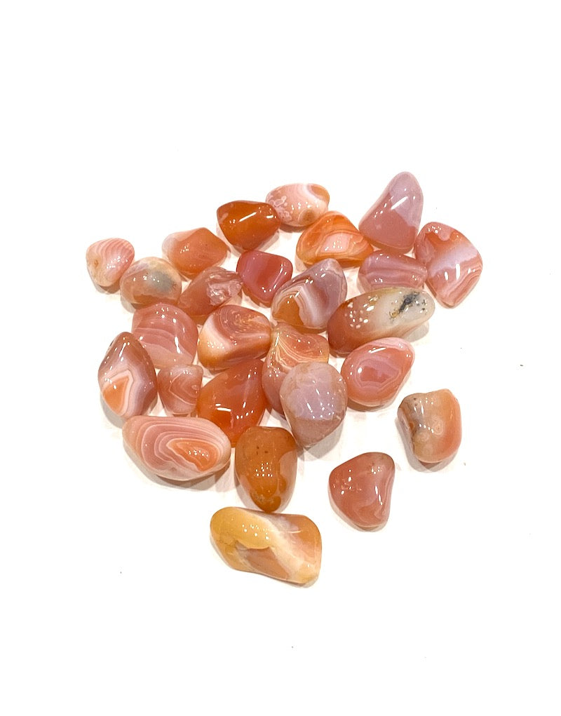 Agate - Peach Apricot (XS/S)