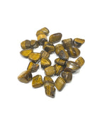 Tiger Eye - Gold (S,M)