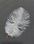 Ostrich Feather - White S