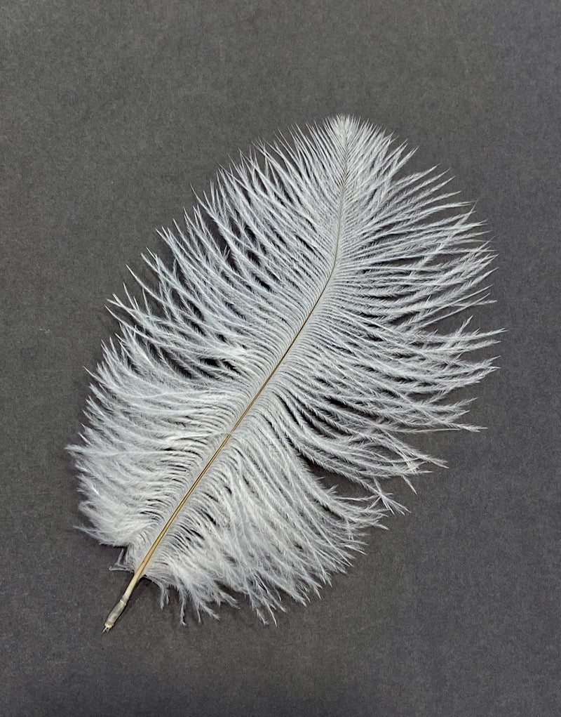 Ostrich Feather - White S