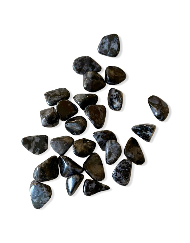 Merlinite Mystic  - Indigo Gabbro