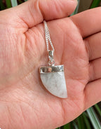 MOONSTONE - RAINBOW CLAW PENDANT - FACET