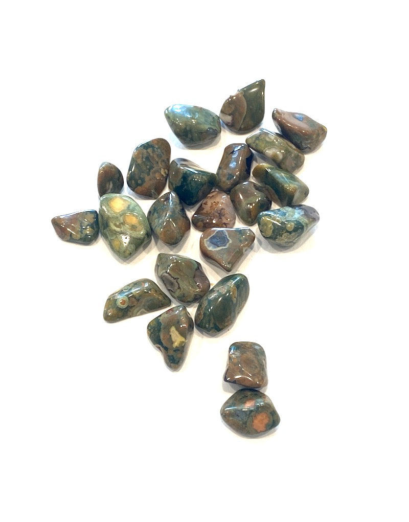 Jasper - Rhyolite Rainforest - S