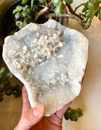 Apophyllite A+ Cluster Specimen